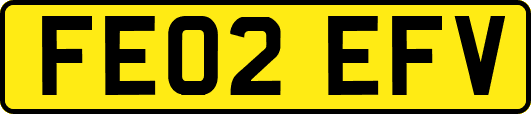 FE02EFV