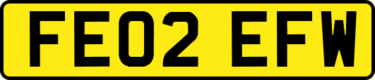 FE02EFW