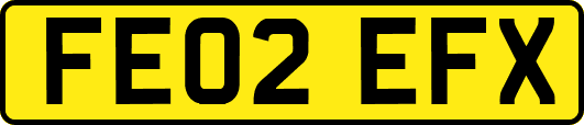 FE02EFX