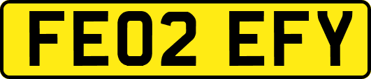 FE02EFY