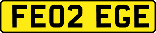 FE02EGE