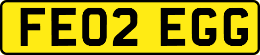 FE02EGG