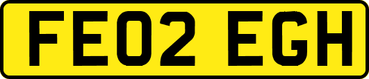 FE02EGH