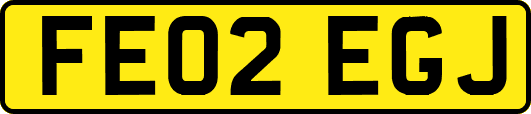 FE02EGJ