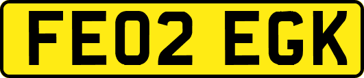 FE02EGK