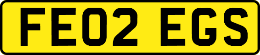 FE02EGS