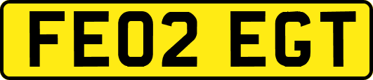 FE02EGT