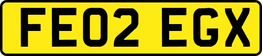 FE02EGX