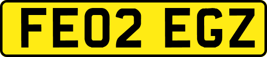 FE02EGZ