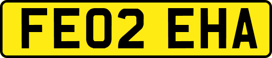 FE02EHA