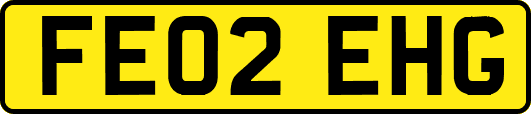 FE02EHG