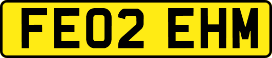 FE02EHM