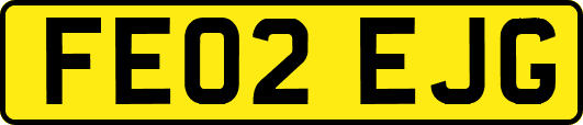 FE02EJG