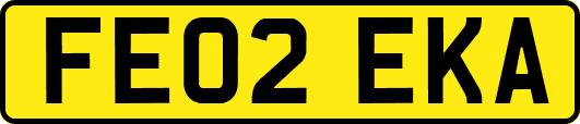 FE02EKA