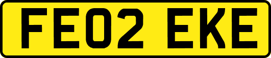 FE02EKE