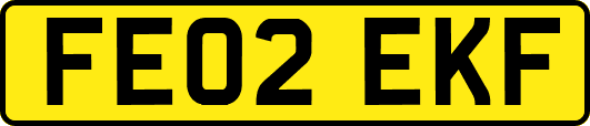 FE02EKF