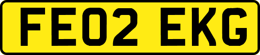 FE02EKG