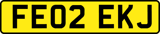 FE02EKJ