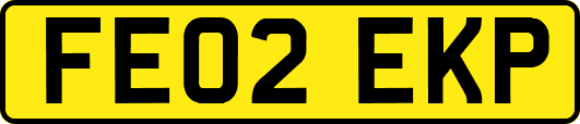 FE02EKP