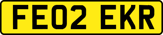 FE02EKR