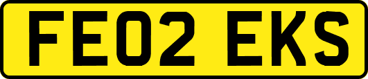 FE02EKS