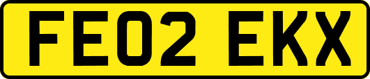 FE02EKX