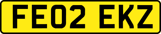FE02EKZ