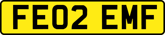 FE02EMF