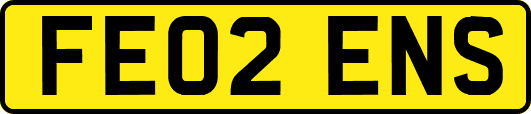 FE02ENS