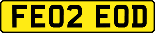 FE02EOD