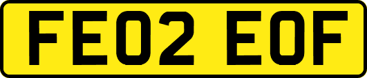 FE02EOF