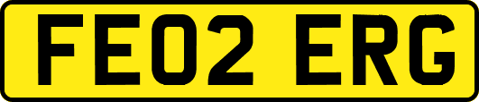 FE02ERG
