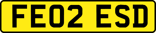 FE02ESD