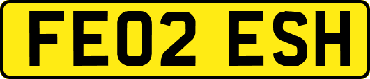 FE02ESH