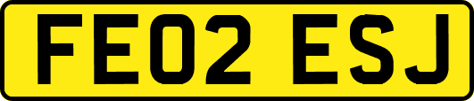FE02ESJ