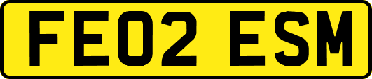 FE02ESM