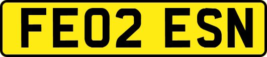 FE02ESN