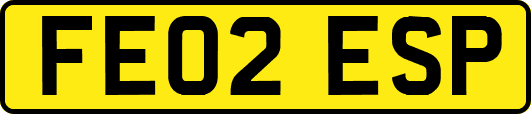 FE02ESP