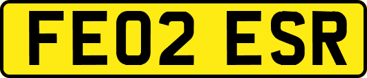 FE02ESR