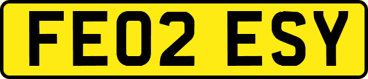 FE02ESY
