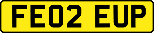 FE02EUP