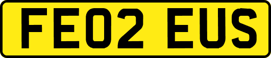 FE02EUS