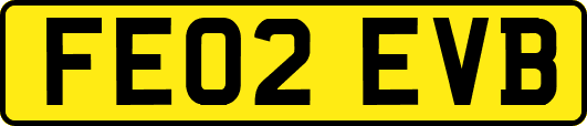 FE02EVB