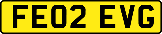 FE02EVG