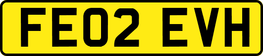 FE02EVH