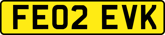 FE02EVK