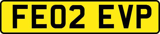 FE02EVP