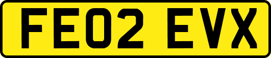 FE02EVX