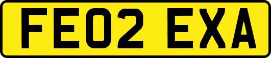 FE02EXA