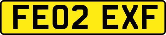 FE02EXF